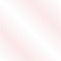 grootte 200x200